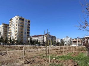 Adıyaman'da "Mahalle Bahçesi" çalışması devam ediyor