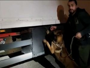 Şanlıurfa'da tır içerisinde 31 kilo 850 gram eroin ele geçirildi