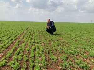 Kuraklık sebebiyle Güneydoğunun afet bölgesi ilan edilmesi için çalışma başlatıldı