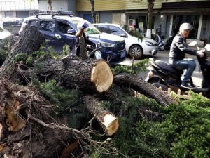 Çin'de şiddetli fırtına: 11 ölü, 102 yaralı