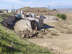 Göçerlerin yayla yolculuğu sürüyor