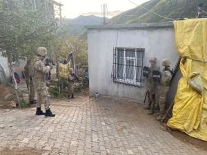 Bitlis merkezli PKK operasyonu: 9 gözaltı