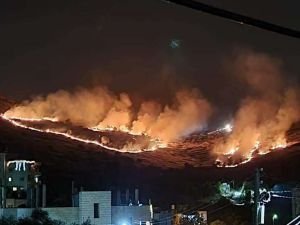 İşgalciler, Filistinlileri topraklarını terk etmek zorunda bırakmak için tarım arazilerini yakıyor