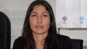 HDP'li vekilin eşi Mehmet Birlik Diyarbakır'da gözaltına alındı