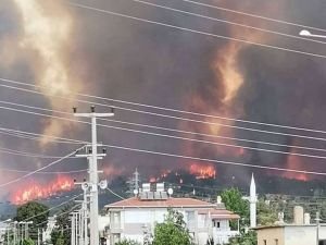 3 ilde aynı anda çıkan orman yangını sabotaj mı?