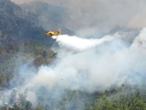 12 bölgede yangın söndürme çalışmaları devam ediyor