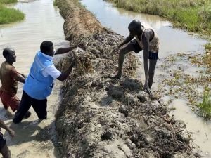 Sudan'da sel nedeniyle 43 kişi hayatını kaybetti