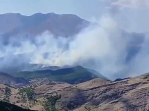 Tunceli'de örtü yangını