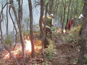 Tunceli’deki orman yangınına müdahale sürüyor