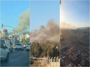 İzmir'deki orman yangını kontrol altına alındı