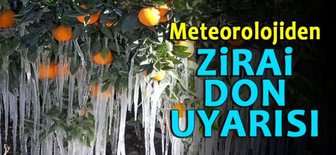 Meteorolojiden Zirai Don ve Çığ Tehlikesi Uyarısı