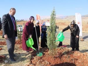 Adıyaman'da 120 bin fidan toprakla buluşturuldu