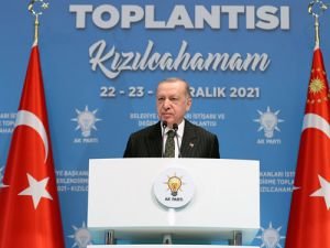 Cumhurbaşkanı Erdoğan'dan belediyelere çağrı: Sahipsiz hayvanlar için lütfen ön alın