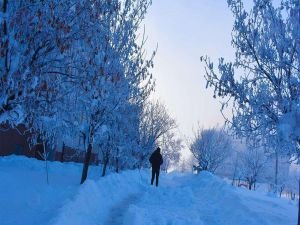 Meteorolojiden Bitlis için kar yağışı uyarısı