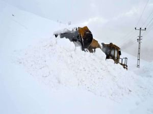 Bitlis Valiliğinden çığ uyarısı