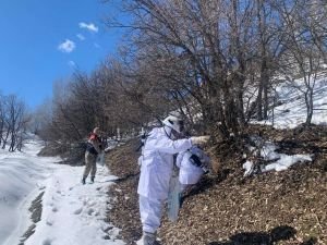 Bingöl’de hayvanlar için doğaya yem bırakıldı