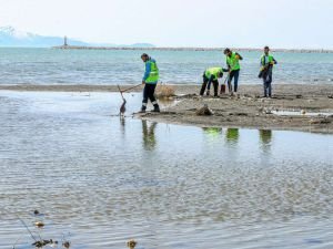 Van Gölü'nden 45 ton çöp çıkarıldı