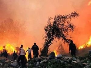 Hatay Dörtyol'daki orman yangınıyla ilgili 2 tutuklama