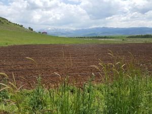 Bingöl ova köylerinde susuzluk