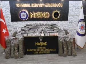 İstanbul'da "marihuna" operasyonu: 14 kişi tutuklandı