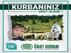 Bingöl Umut Kervanı, Kurban çalışmalarına başladı