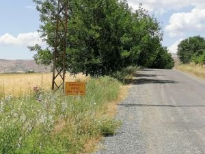 Elâzığ Valiliğinden Palu'daki kuduz vakası ile ilgili açıklama