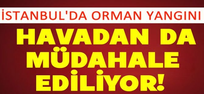 İstanbul'da orman yangını