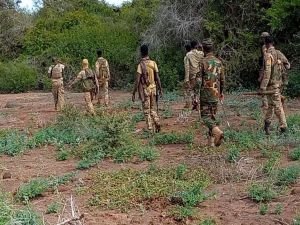 Somali ordusu: 40 Eş-Şebab üyesi öldürüldü