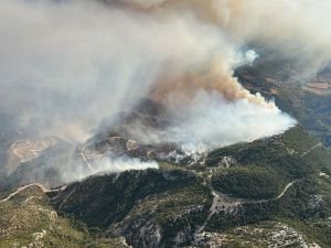 Datça'daki yangın kontrol altına alındı