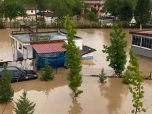 Ordu'da dere taştı: Onlarca ev ve iş yerini su bastı