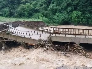 Ordu'da sel felaketi: 28 konutta ve 253 kırsal alanda heyelan