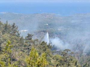 Marmaris'te ormanlık alanda yangın