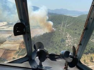 İzmir'de seraların bulunduğu bölgede çıkan yangın ormana sıçradı