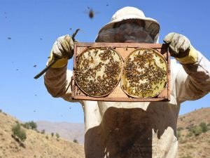 Bitlis balı ‘Golden Honey’ kategorisinde dünya şampiyonu oldu