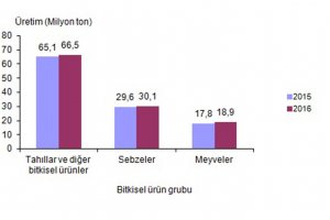 Bitkisel üretim artış gösterdi