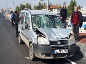 Ağrı’da meydana gelen kazada, 1 kişi öldü, 2 kişi ise yaralandı