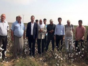 HÜDA PAR Şanlıurfa İl Başkanı çiftçilerin sorunlarına dikkat çekti