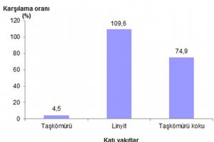 Katı yakıtlarda linyit öne çıktı