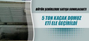 Ayfın'da 5 ton domuz eti ele geçirildi