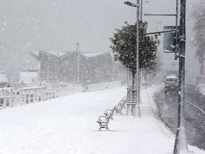 Ardahan'da kar ve tipi etkili oluyor