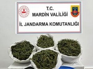 Mardin’de 28 kilo 500 gram esrar ele geçirildi