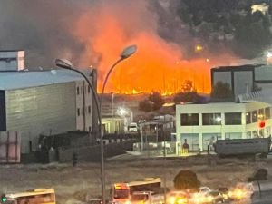 Gaziantep'te otluk alanda yangın