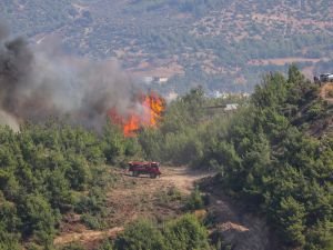 Kilis'te orman yangını