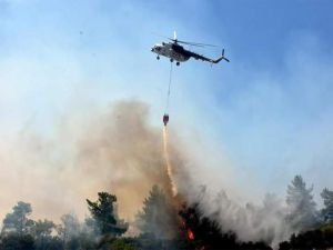 İzmir'de sazlık alanda yangın