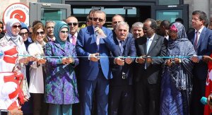 Alman ekolü operasyonu