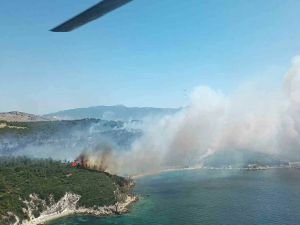 İzmir'de orman yangını