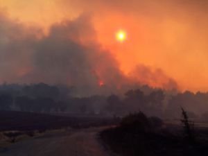 Çanakkale'de orman yangını