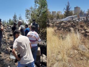 Şanlıurfa'da ormanın kasten yakıldığı ortaya çıktı