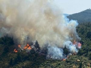 Balıkesir'deki orman yangını kontrol altında