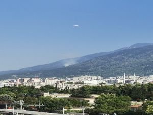 Bursa Uludağ'da orman yangını